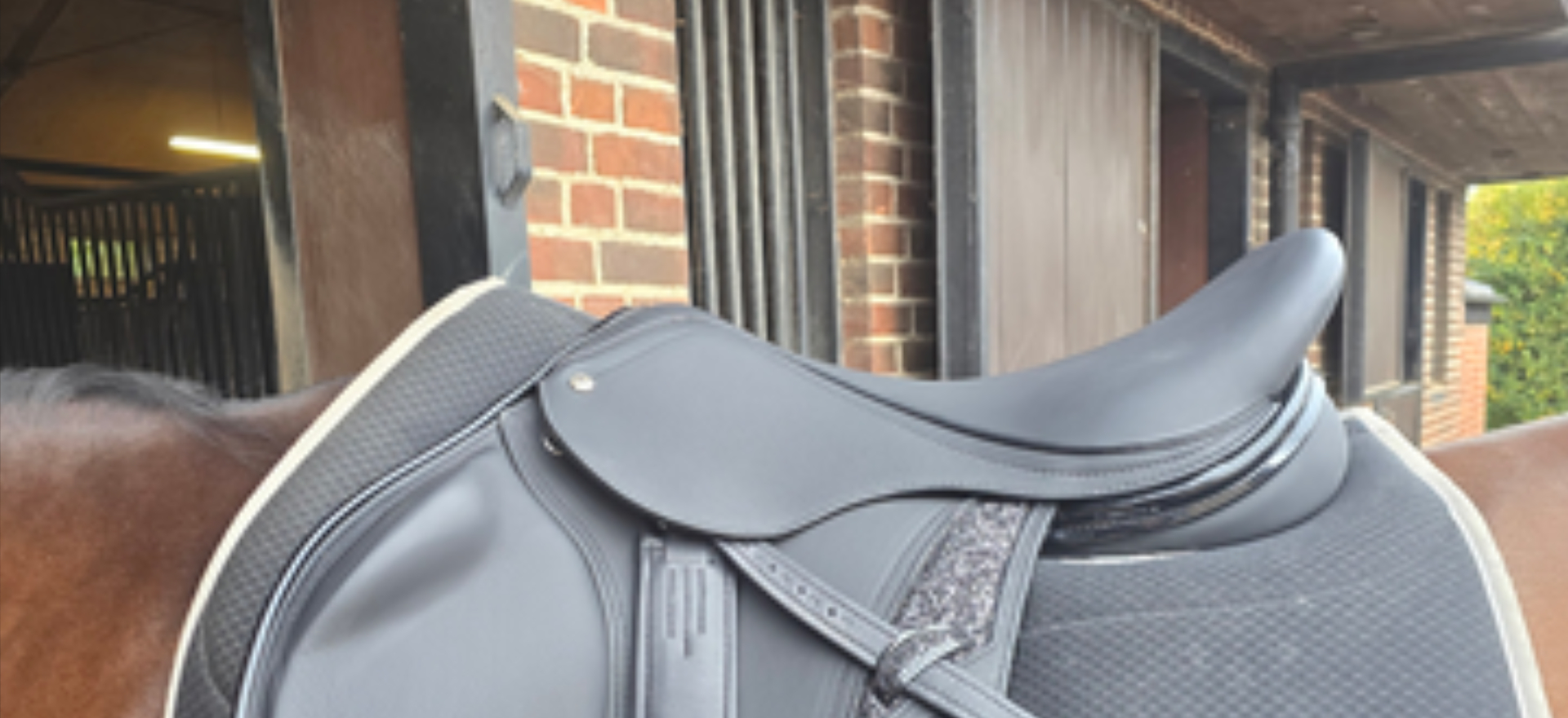 Remedy Saddles